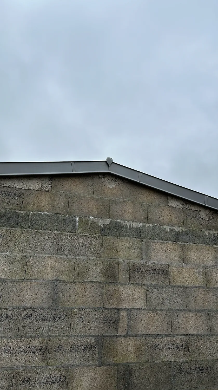 pose de velux monterfil